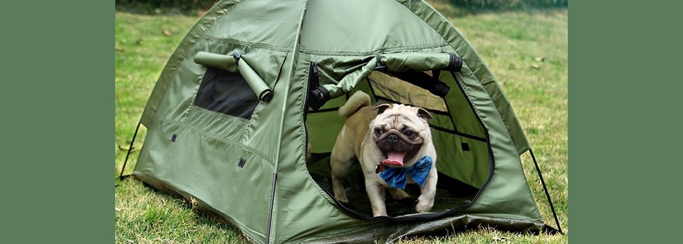 portable dog house for camping